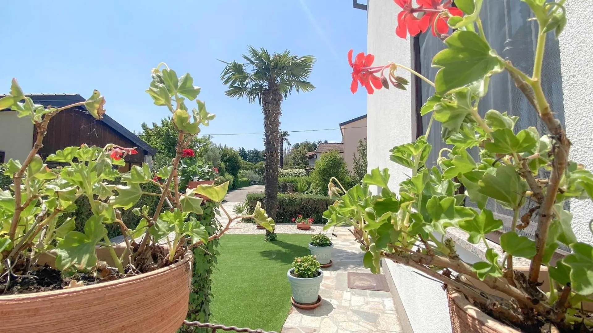 Marina No.1 Apartment Novigrad  Novigrad (Istria)